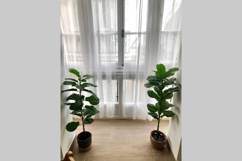 Gatu Premium Villa Libertad, Preferente Mayores De 25 Anos Y Familias Cadiz Exterior photo